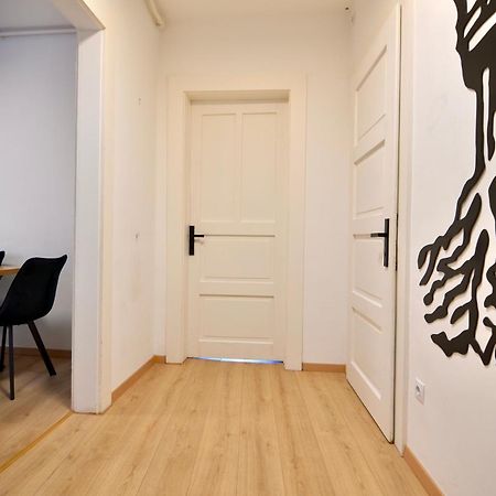 Luxurious & Spacious Residence In The Heart Of Брашов Екстериор снимка